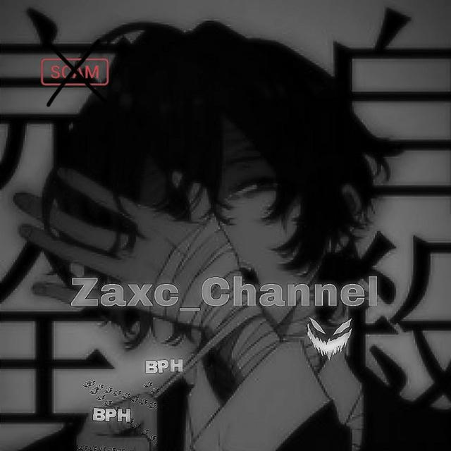 『Z』Zaxc Channel?『Z』