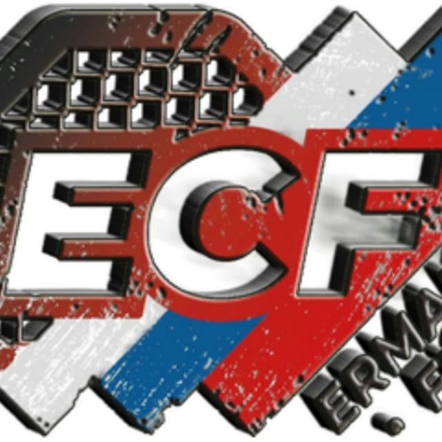 ECF MMA | Профессиональная лига Ермак