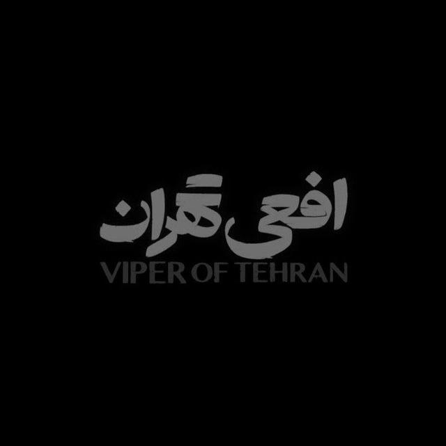 Viper Of Tehran Playlist | پلی‌ لیست افعی تهران