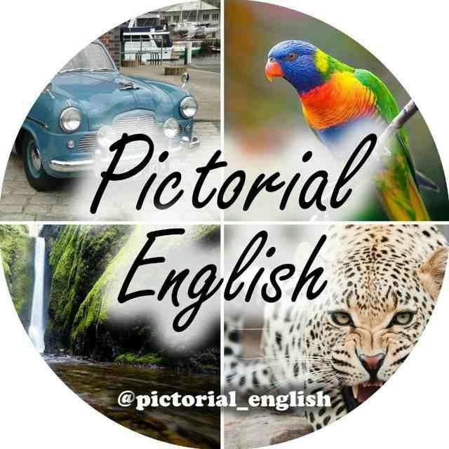 Pictorial English