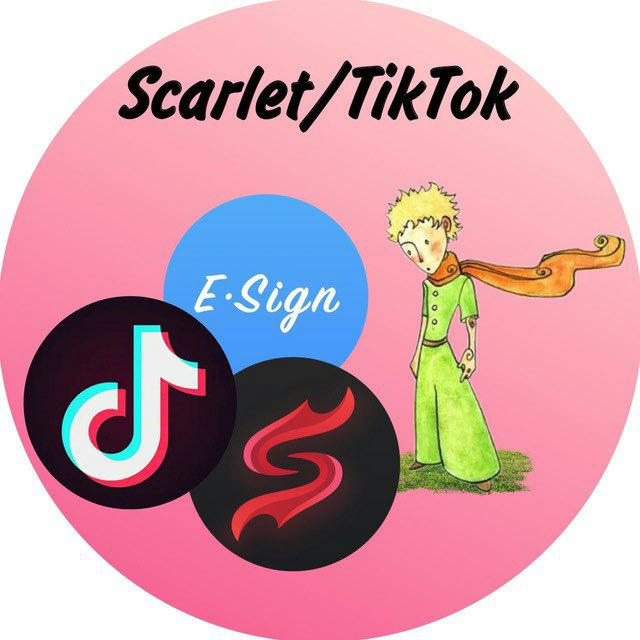 TikTok ipa | Iphone | Scarlet