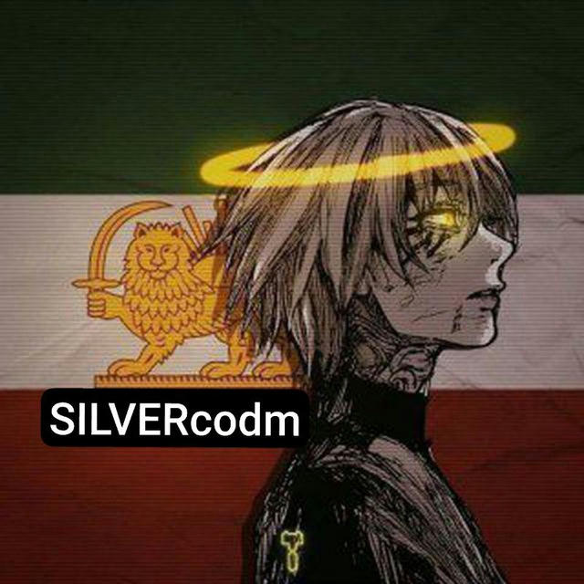 SILVERcodm