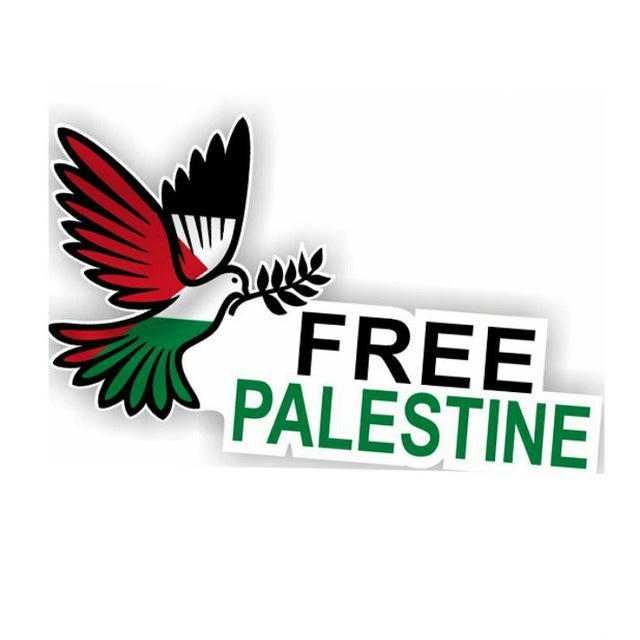 Free Palestine 🇵🇸 ✨🕊️✨