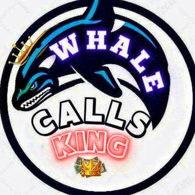 WHALE CALLS KING 🐋