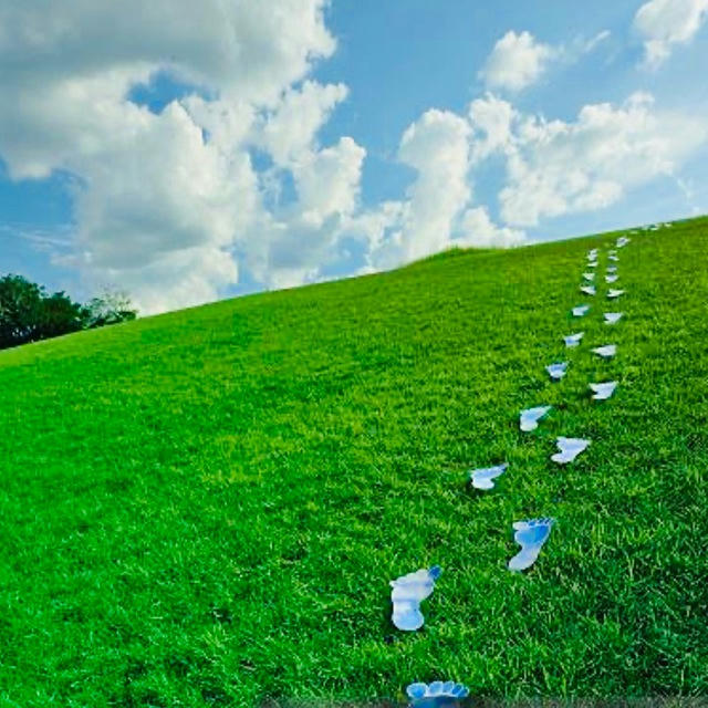 Grass-Filled Footprints