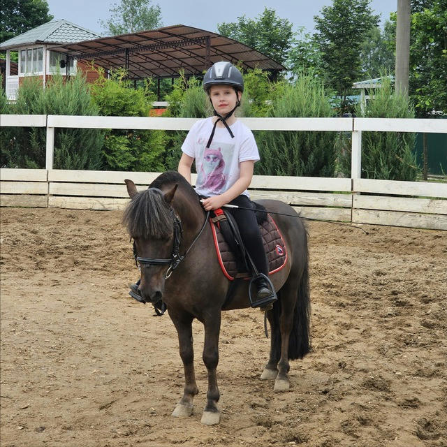 Творческий канал Лидии Мошуры🐴