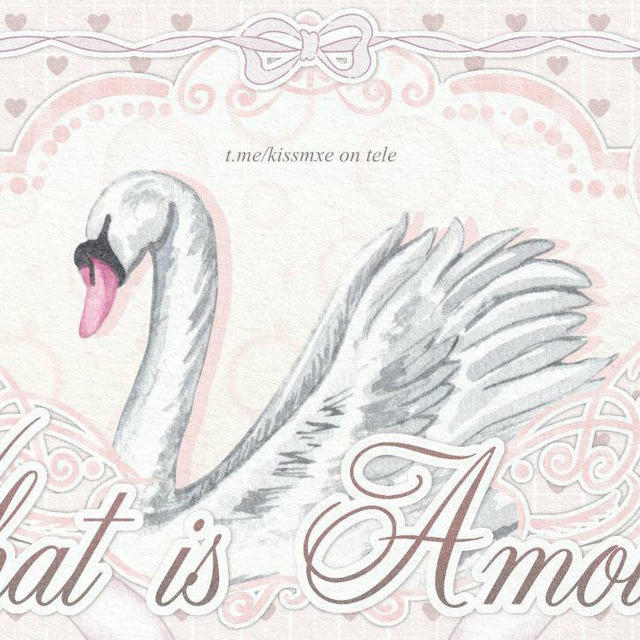 What is Amour? OPEN ♡