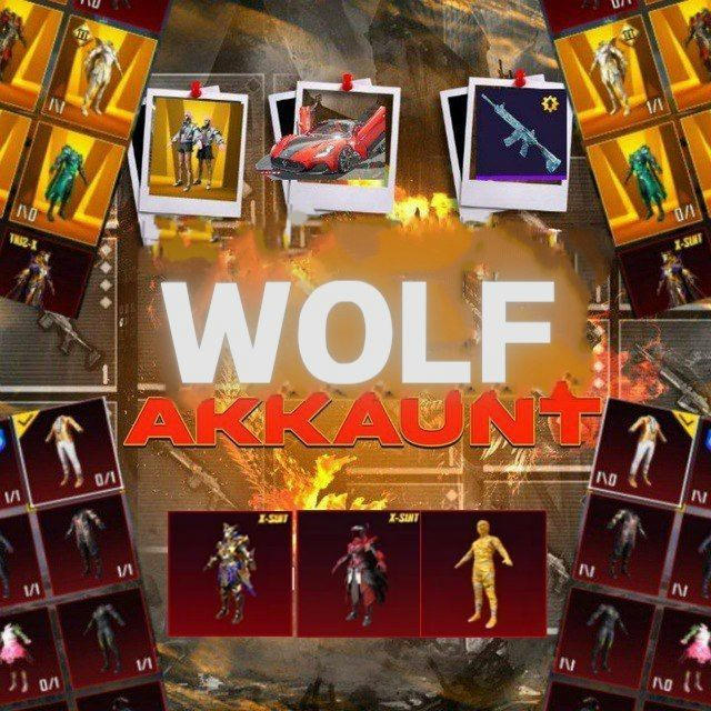 WOLF AKKOUNT