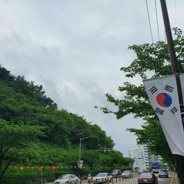 KOREAN _video🇰🇷