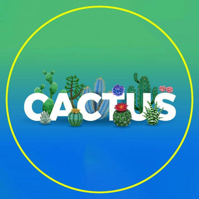 کاکتوس cactos
