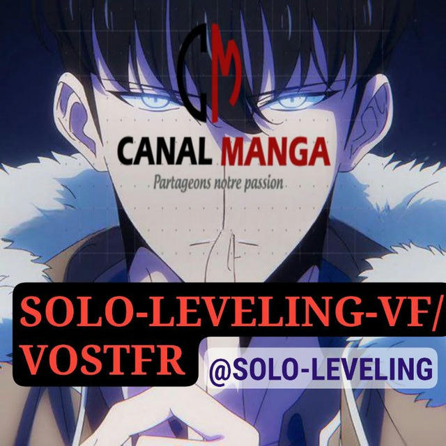 SOLO LEVELING VF/VOSTFR™️