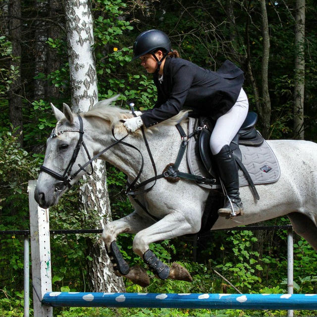 Тасины horses🖤🫂