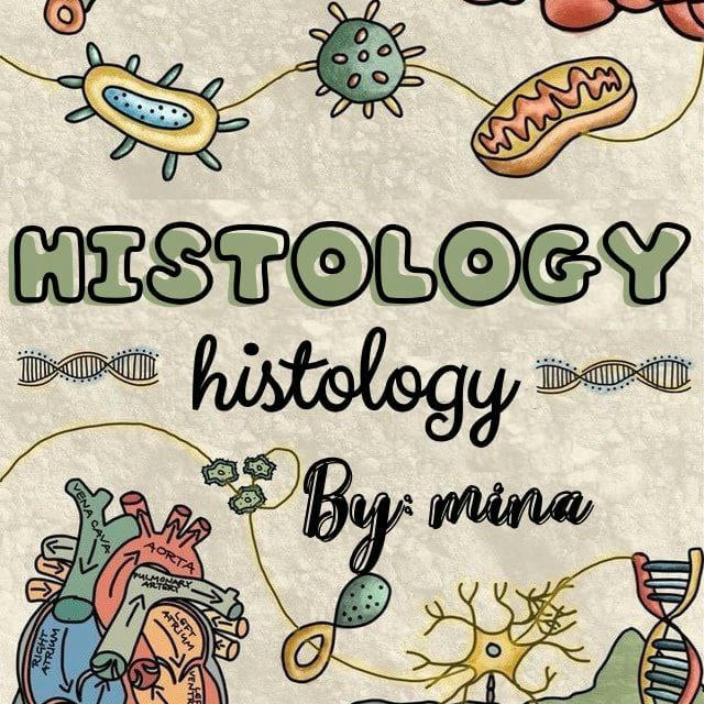 Human biology&histology ✨