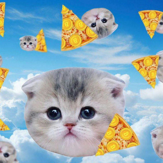 Pizza Cat ~ $SLICE