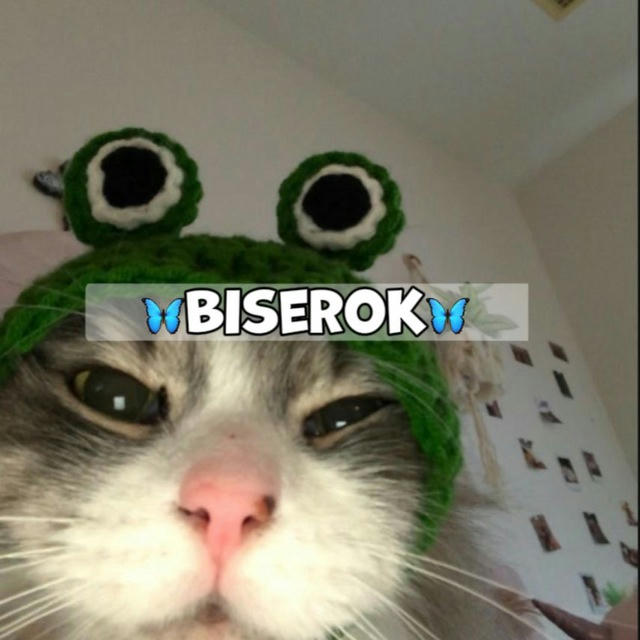 🦋Biserok🦋