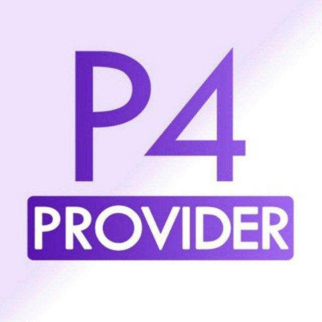 P4 Provider Official