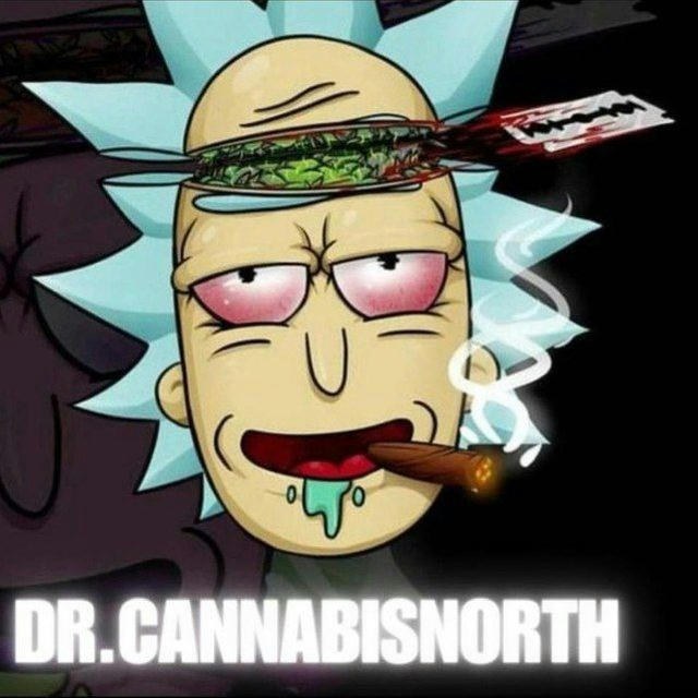 DR. CANNABISNORTH