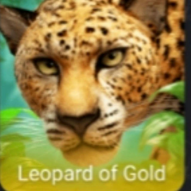Leopard Earning