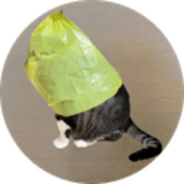 catwifbag - The dogwifhat Owner's Cat