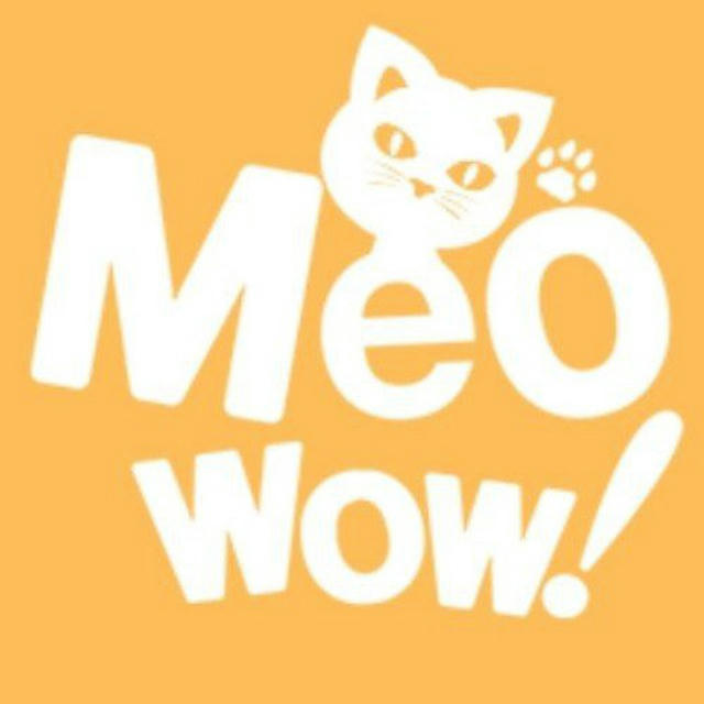 MeoWow™ заработок на отзывах