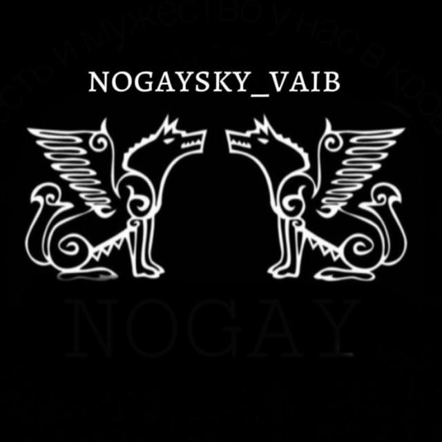 nogaysky_vaib