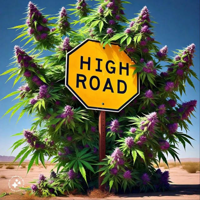 HIGH ROAD