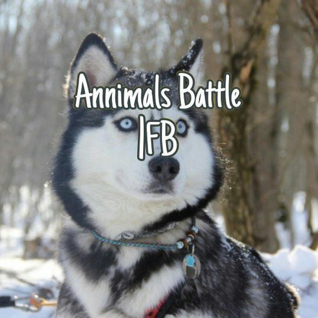 Annimals Battle|FB