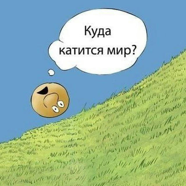 Куда мы катимся 🤯