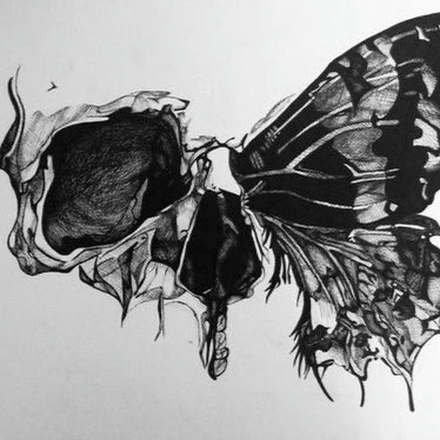 dead butterflies_Hes&Milash