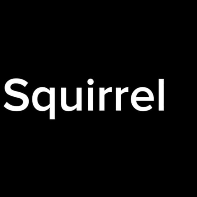 Squirrel🐿️