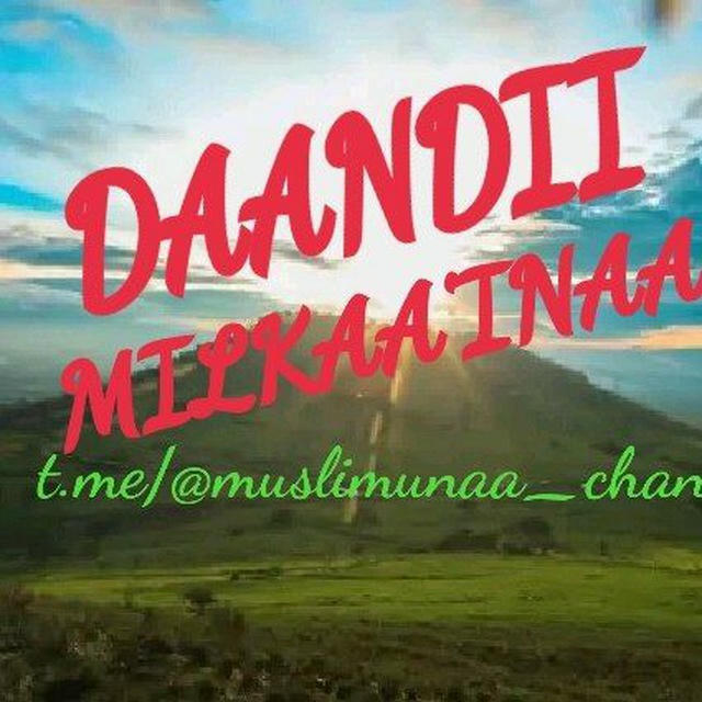 DAANDII MILKAA'INAA