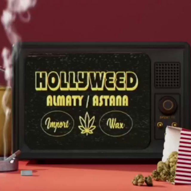 HOLLYWEED CHANNEL