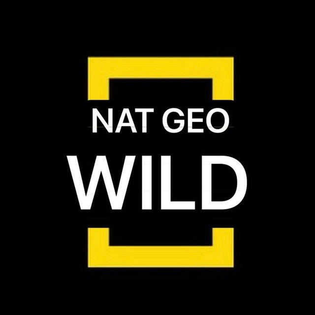 Nat Geo WILD