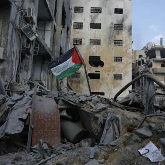 أخبار غزة مباشر 🇵🇸