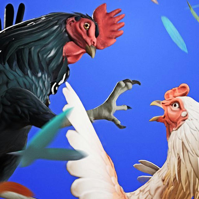 Rooster Fights Game