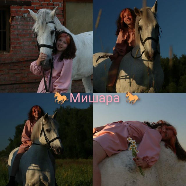 🐎Мишара 🐎