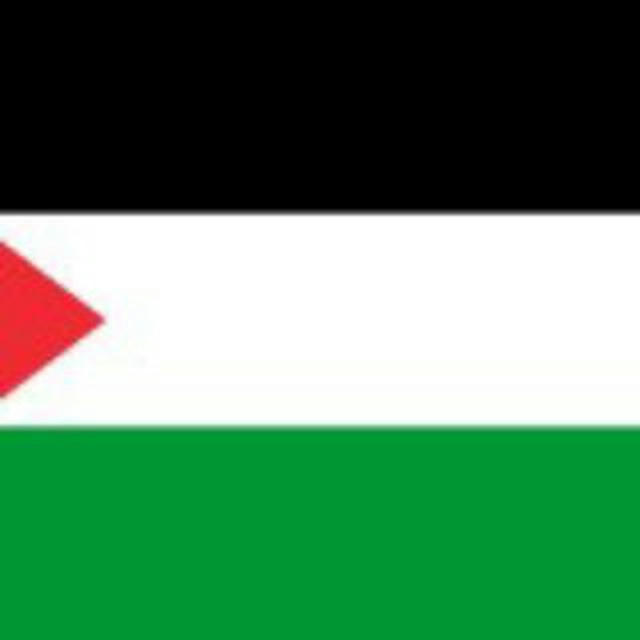 🇵🇸👨‍💻▄︻デ══━一فلسطين مود