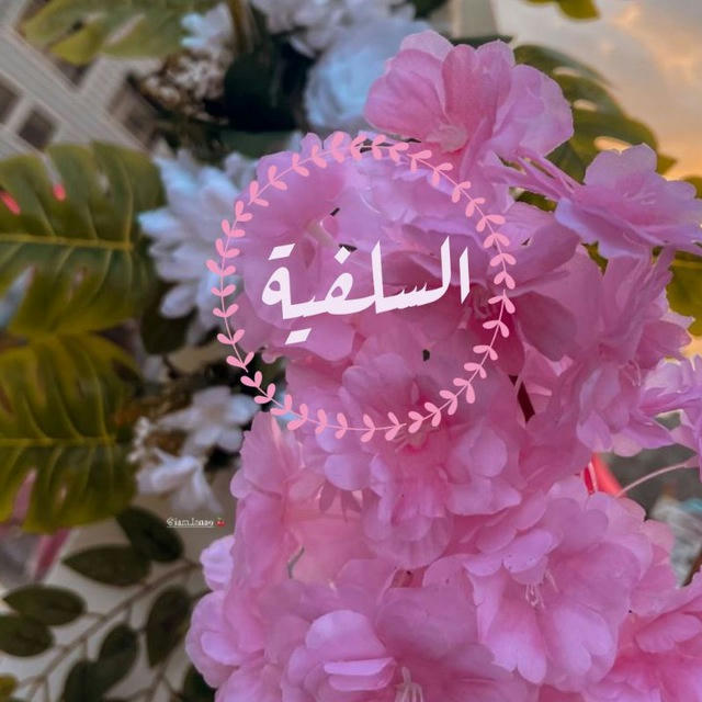 السلفية🌸