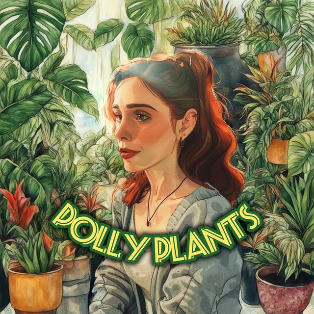 Polly Plants