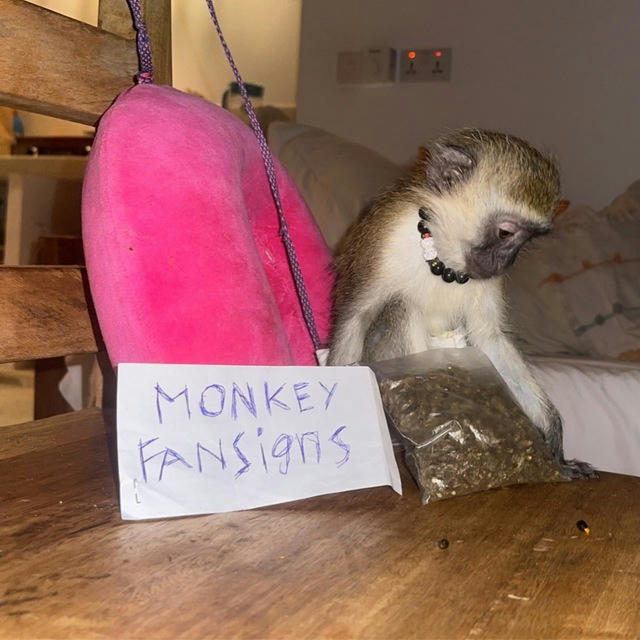 Monkey Fansigns