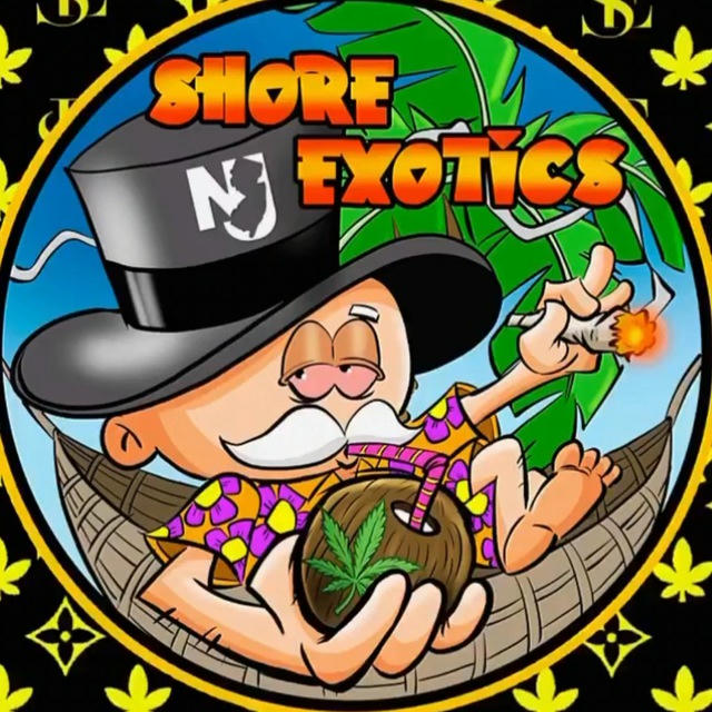 SHORE EXOTICS