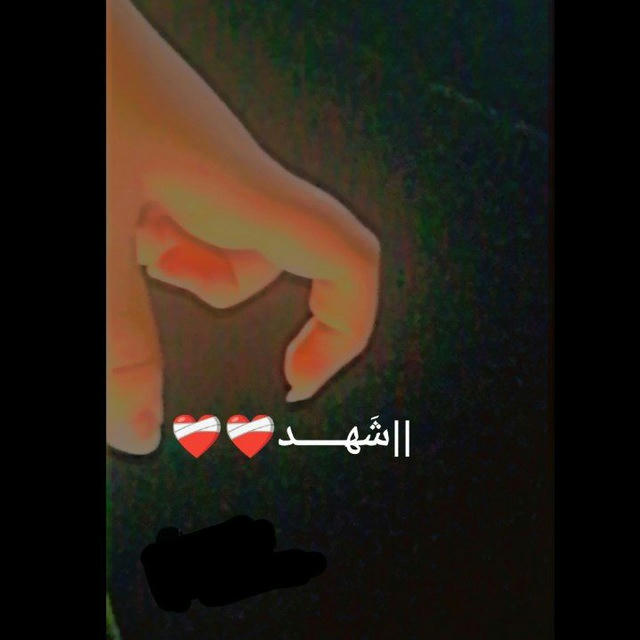 || شَهـــــد❤️‍🩹❤️‍🩹