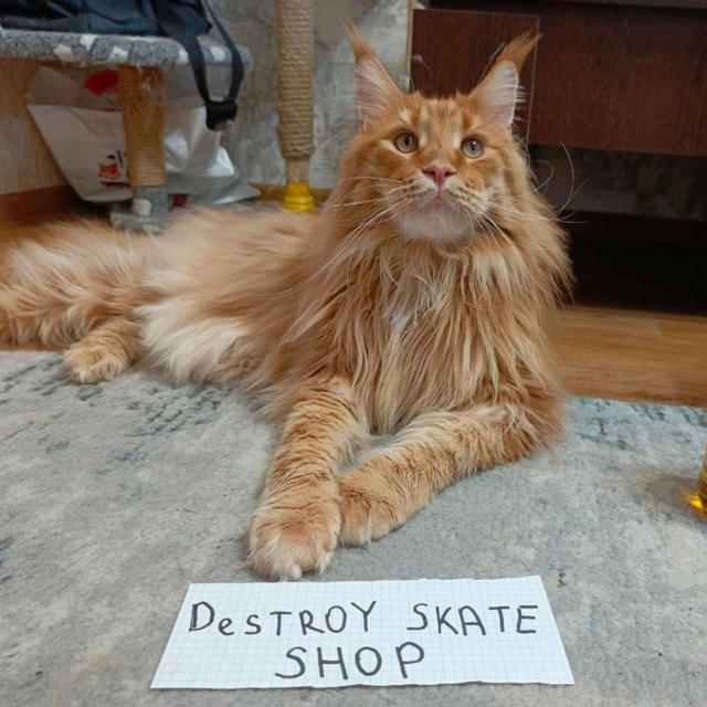 Destroy skate shop