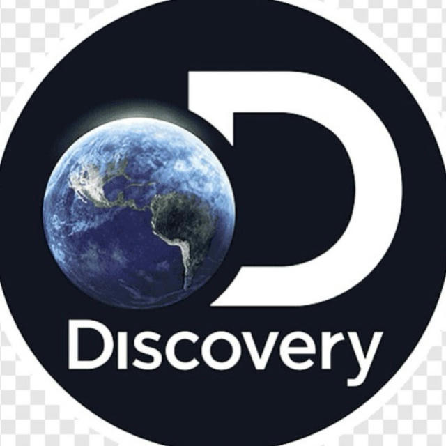 Discovery 🌎 Туризм онлайн