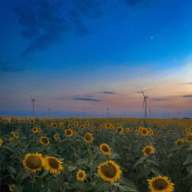 Ботиево,Строгановка,Бабановка🌻