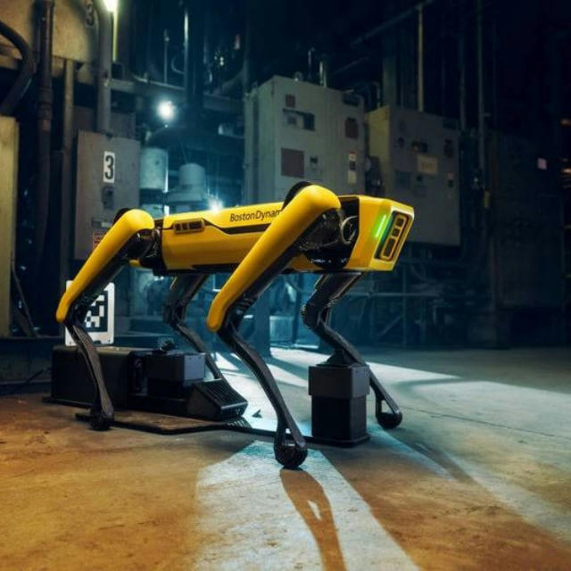 Official agility robot dog
