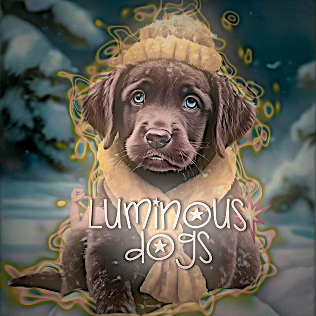 Luminous dogs