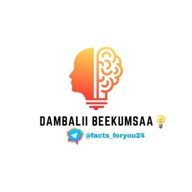 DAMBALII BEEKUMSAA💡