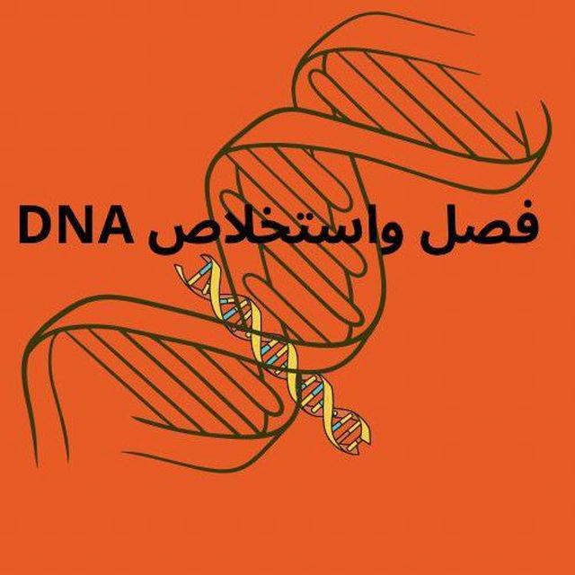 فصل واستخلاص DNA