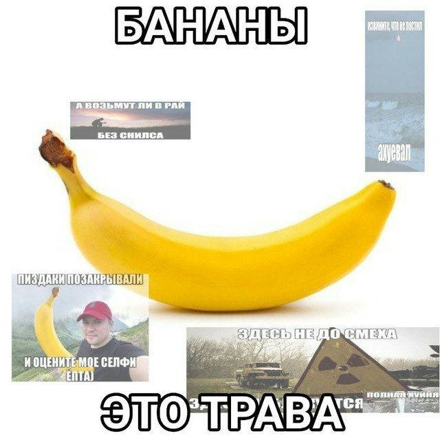 🍌бᴀнᴀн ᴄᴏɴꜰᴇssɪᴏɴ!